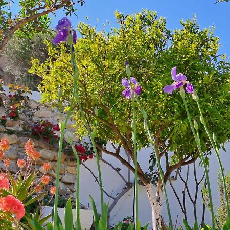Ierápetra Arhondia Houseヴィラ エクステリア 写真