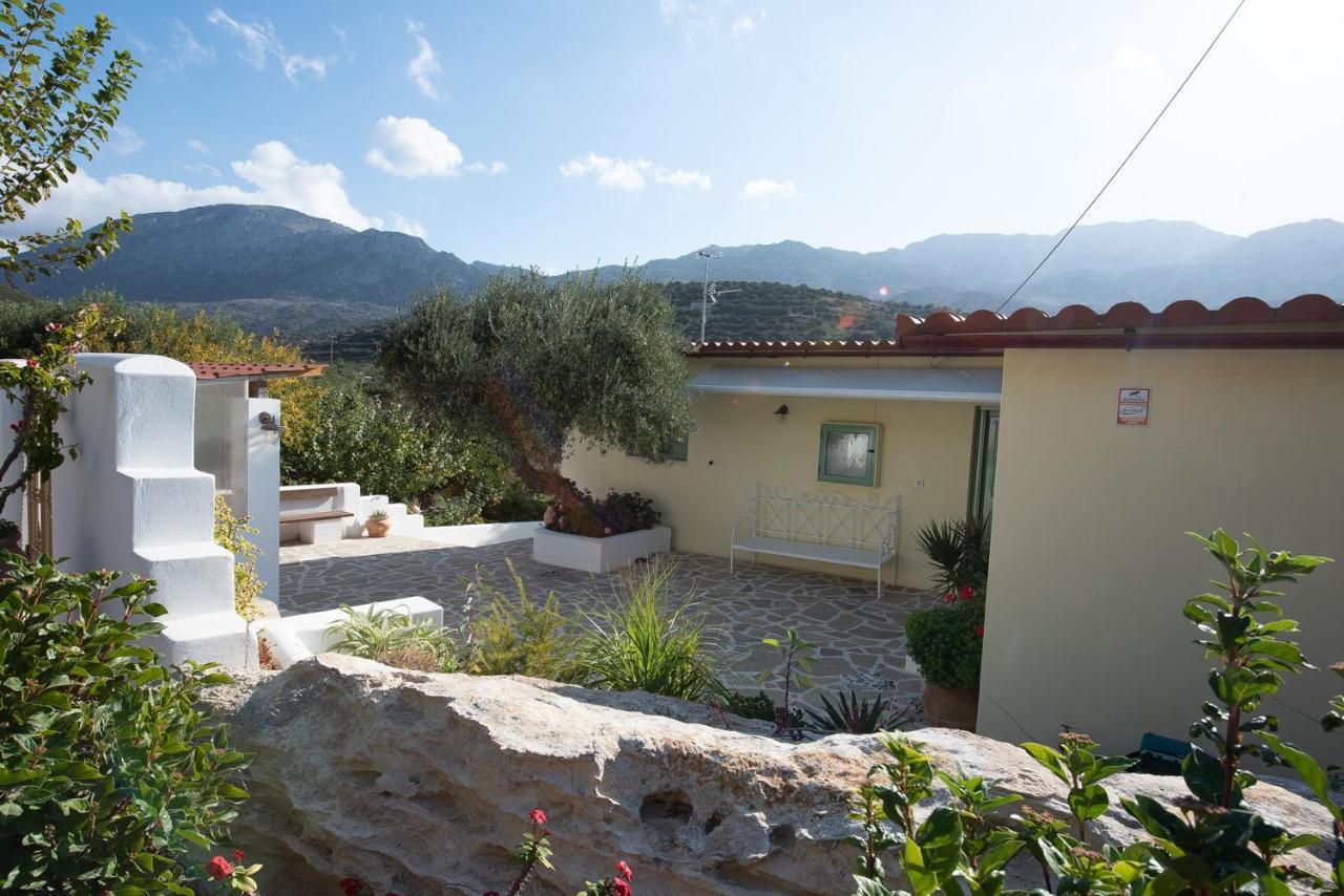 Ierápetra Arhondia Houseヴィラ エクステリア 写真
