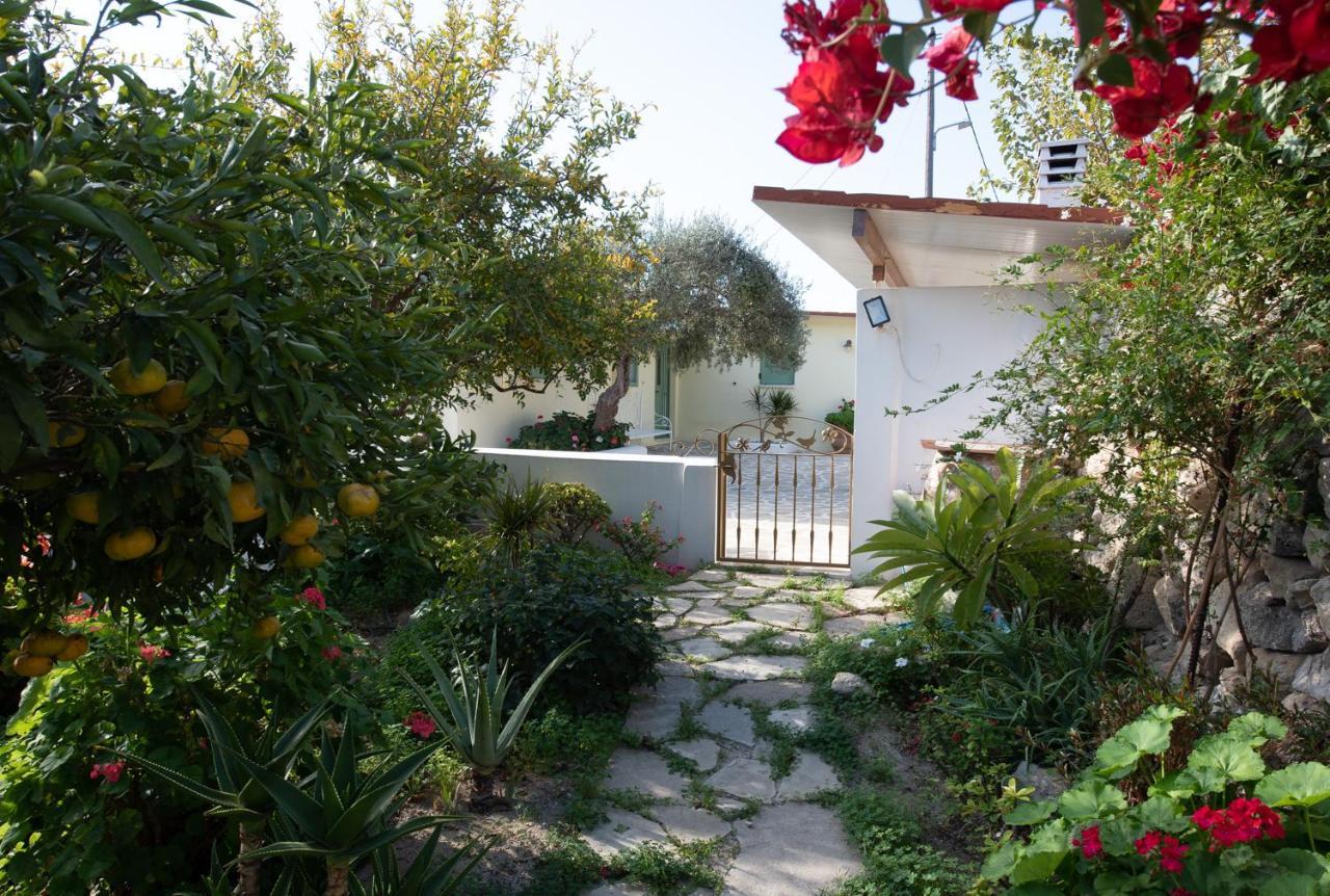 Ierápetra Arhondia Houseヴィラ エクステリア 写真