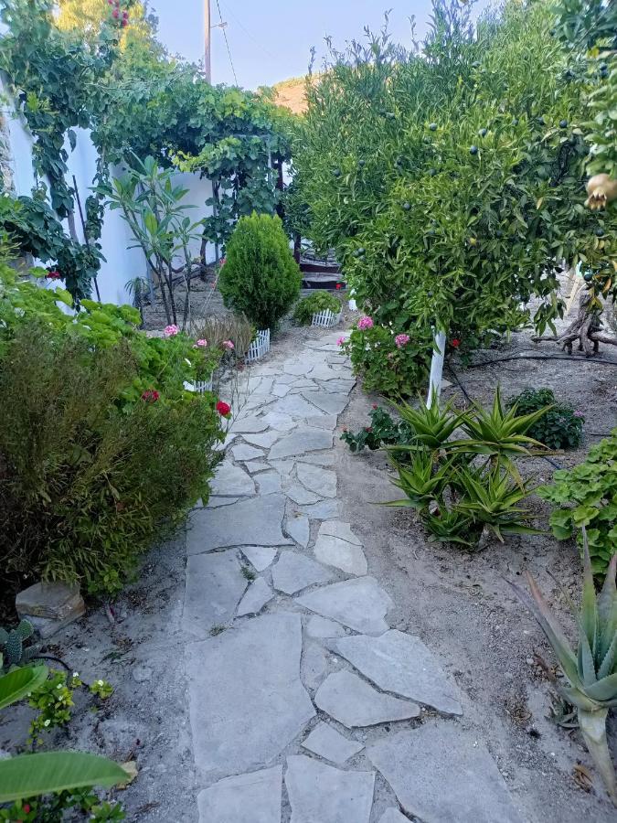 Ierápetra Arhondia Houseヴィラ エクステリア 写真