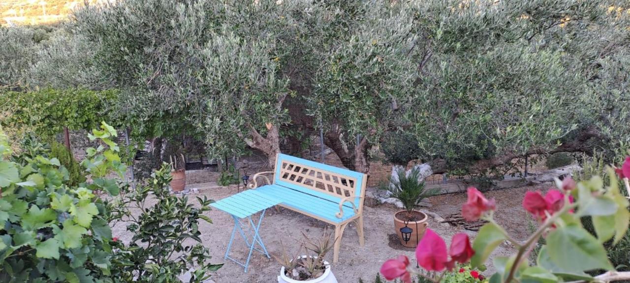 Ierápetra Arhondia Houseヴィラ エクステリア 写真