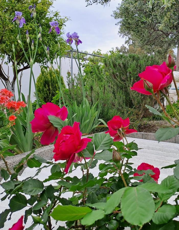 Ierápetra Arhondia Houseヴィラ エクステリア 写真