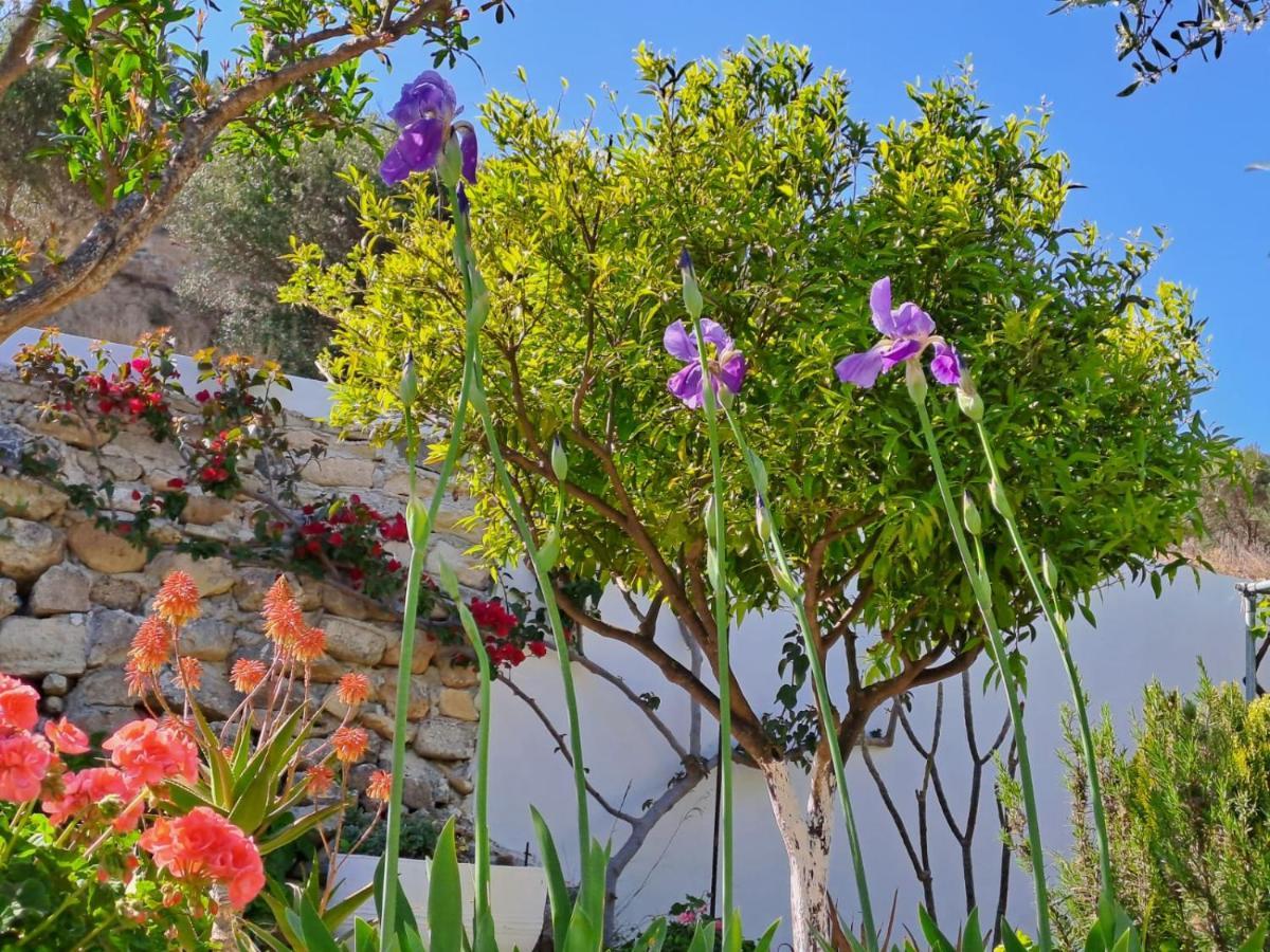 Ierápetra Arhondia Houseヴィラ エクステリア 写真